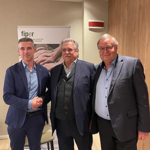 Fine mandato Righini inizio Colli 2024